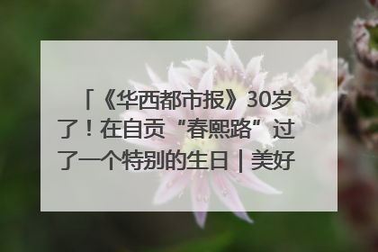 《华西都市报》30岁了！在自贡“春熙路”过了一个特别的生日｜美好生活有“盐”味