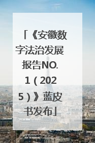 《安徽数字法治发展报告NO.1（2025）》蓝皮书发布
