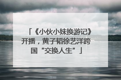 《小伙小妹换游记》开播，黄子韬徐艺洋跨国“交换人生”