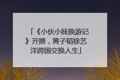 《小伙小妹换游记》开播，黄子韬徐艺洋跨国交换人生