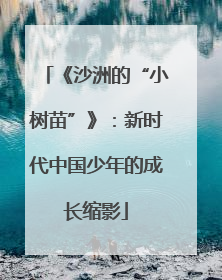 《沙洲的“小树苗”》：新时代中国少年的成长缩影