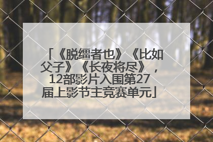 《脱缰者也》《比如父子》《长夜将尽》，12部影片入围第27届上影节主竞赛单元