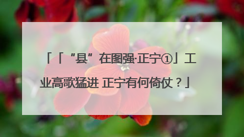 「“县”在图强·正宁①」工业高歌猛进 正宁有何倚仗？