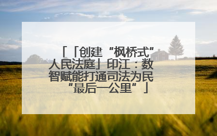 「创建“枫桥式”人民法庭」印江：数智赋能打通司法为民“最后一公里”