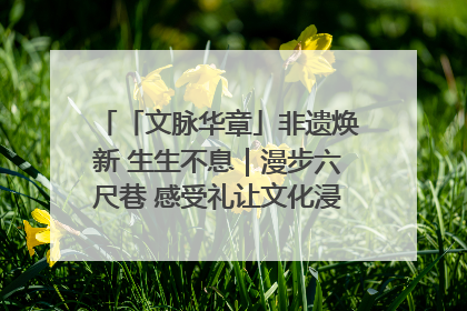 「文脉华章」非遗焕新 生生不息｜漫步六尺巷 感受礼让文化浸润的“巷”往生活