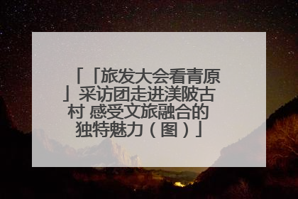 「旅发大会看青原」采访团走进渼陂古村 感受文旅融合的独特魅力（图）