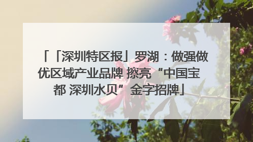 「深圳特区报」罗湖：做强做优区域产业品牌 擦亮“中国宝都 深圳水贝”金字招牌