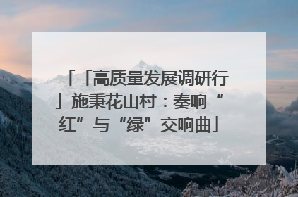 「高质量发展调研行」施秉花山村：奏响“红”与“绿”交响曲