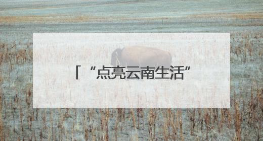 “点亮云南生活”特色航班如期启航