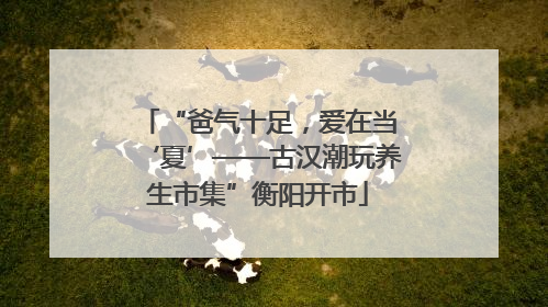 “爸气十足，爱在当‘夏’——古汉潮玩养生市集”衡阳开市
