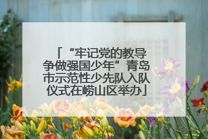 “牢记党的教导 争做强国少年”青岛市示范性少先队入队仪式在崂山区举办