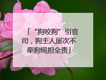 “狗咬狗”引官司，狗主人屡次不牵狗绳担全责