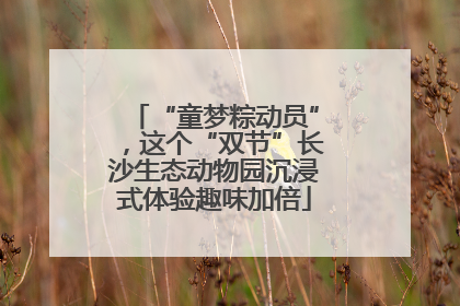 “童梦粽动员”，这个“双节”长沙生态动物园沉浸式体验趣味加倍