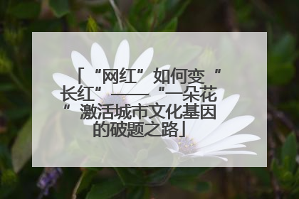 “网红”如何变“长红”——“一朵花”激活城市文化基因的破题之路