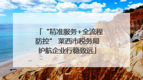 “精准服务+全流程防控” 莱西市税务局护航企业行稳致远