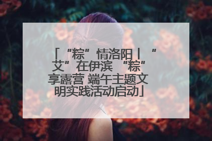 “粽”情洛阳丨“艾”在伊滨 “粽”享露营 端午主题文明实践活动启动