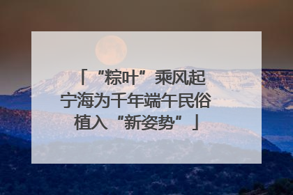 “粽叶”乘风起 宁海为千年端午民俗植入“新姿势”
