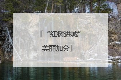 “红树进城” 美丽加分