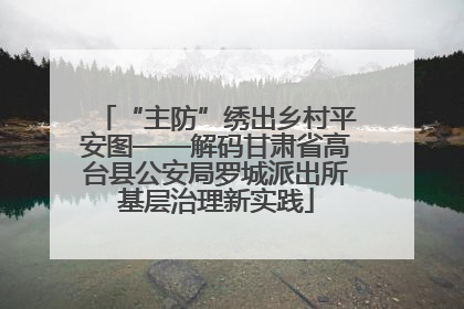 “主防”绣出乡村平安图——解码甘肃省高台县公安局罗城派出所基层治理新实践