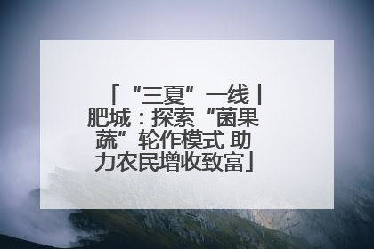 “三夏”一线丨肥城：探索“菌果蔬”轮作模式 助力农民增收致富