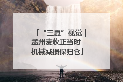 “三夏”视觉｜孟州麦收正当时 机械减损保归仓