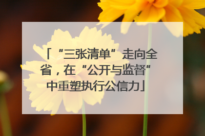 “三张清单”走向全省，在“公开与监督”中重塑执行公信力
