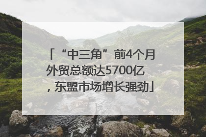 “中三角”前4个月外贸总额达5700亿，东盟市场增长强劲