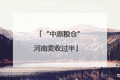 “中原粮仓”河南麦收过半