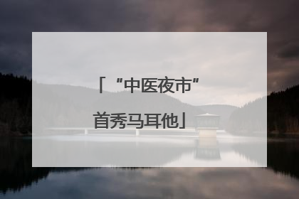 “中医夜市”首秀马耳他