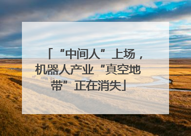 “中间人”上场，机器人产业“真空地带”正在消失
