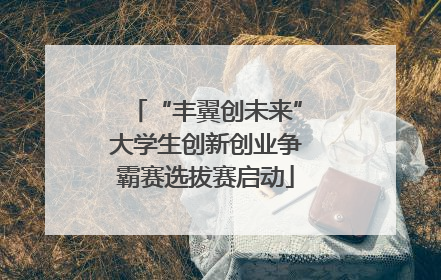 “丰翼创未来”大学生创新创业争霸赛选拔赛启动