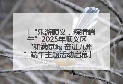 “乐游顺义，粽情端午”2025年顺义区“和满京城 奋进九州”端午主题活动启幕