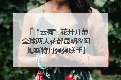 “云荷”花开并蒂 全球两大花都昆明&阿姆斯特丹强强联手