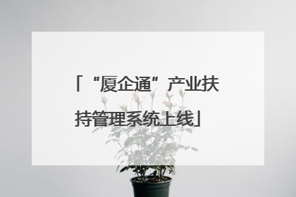 “厦企通”产业扶持管理系统上线