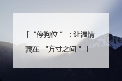 “停狗位 ”：让温情藏在 “方寸之间 ”