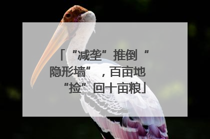 “减垄”推倒“隐形墙”，百亩地“捡”回十亩粮