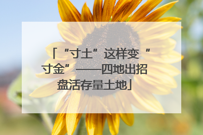 “寸土”这样变“寸金”——四地出招盘活存量土地