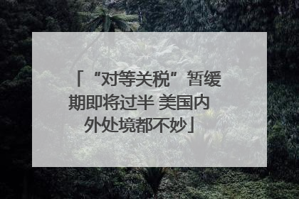 “对等关税”暂缓期即将过半 美国内外处境都不妙