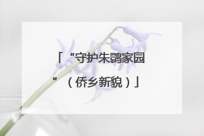 “守护朱鹮家园”（侨乡新貌）