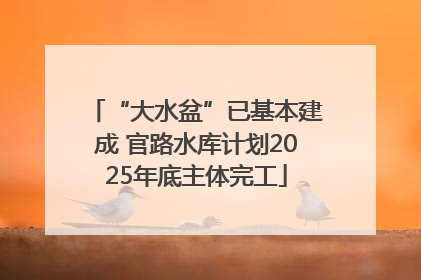 “大水盆”已基本建成 官路水库计划2025年底主体完工