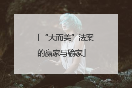 “大而美”法案的赢家与输家