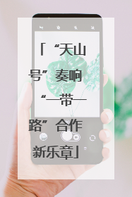 “天山号”奏响“一带一路”合作新乐章