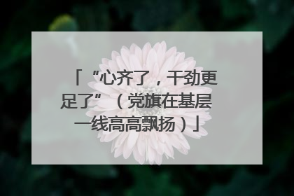 “心齐了，干劲更足了”（党旗在基层一线高高飘扬）