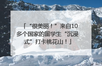 “很美丽！”来自10多个国家的留学生“沉浸式”打卡桃花山！