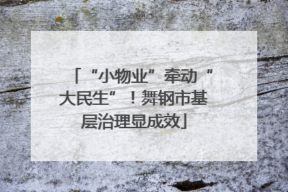 “小物业”牵动“大民生”！舞钢市基层治理显成效