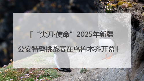 “尖刀·使命”2025年新疆公安特警挑战赛在乌鲁木齐开幕