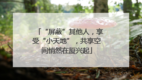 “屏蔽”其他人，享受“小天地”，共享空间悄然在厦兴起