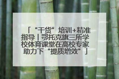 “干货”培训+精准指导丨鄂托克旗三所学校体育课堂在高校专家助力下“提质增效”