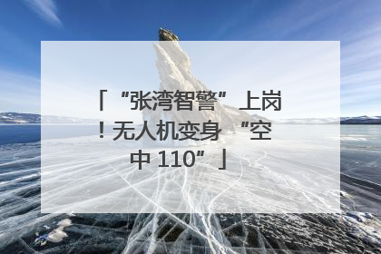 “张湾智警”上岗！无人机变身 “空中 110”