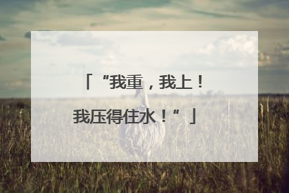 “我重，我上！我压得住水！”
